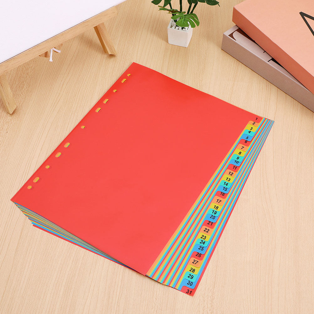 Tab Divider A4 - 2 Takım A4 Boyutunda, Plastik, 31